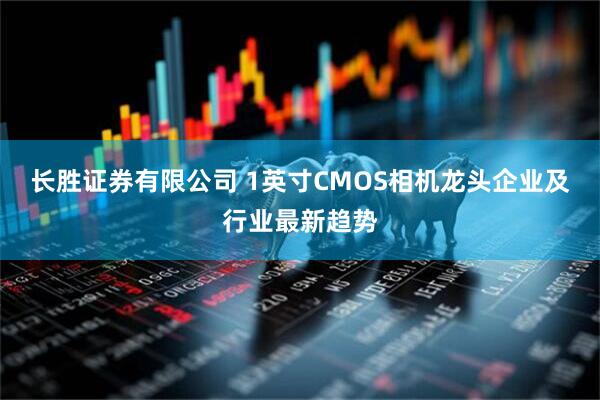 长胜证券有限公司 1英寸CMOS相机龙头企业及行业最新趋势