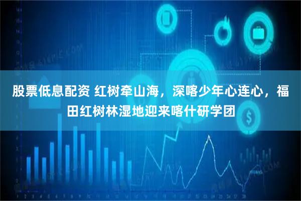 股票低息配资 红树牵山海，深喀少年心连心，福田红树林湿地迎来喀什研学团